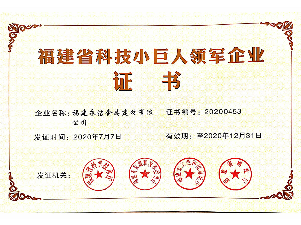 小巨人领军企业 小巨人领军企业